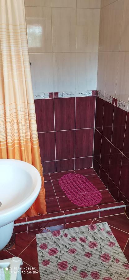 Apartmani Aleksijevic Zlatibor Exterior foto