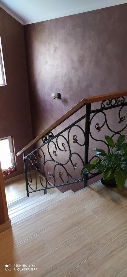 Apartmani Aleksijevic Zlatibor Exterior foto