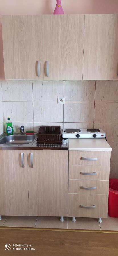 Apartmani Aleksijevic Zlatibor Exterior foto